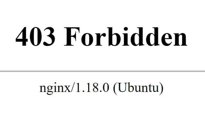 nginx adalah