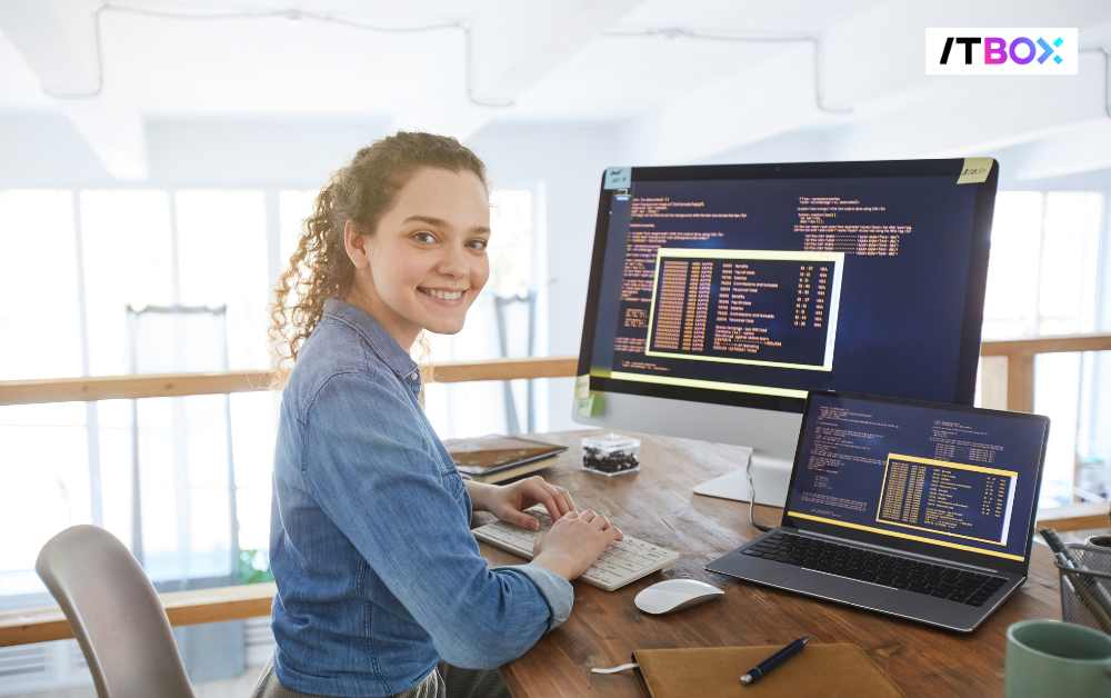 tugas IT developer